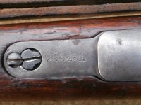 polish mauser 012.JPG