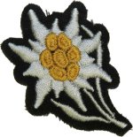 waffen-ss-edelweiss-side-patch-for-cap--103069.jpg